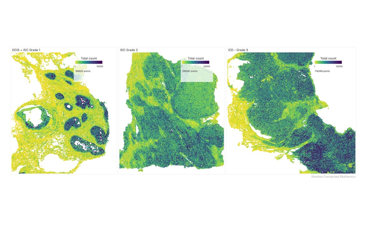StrataMap sequencing-based spatial transcriptomics: whole-transcriptome expression mapped across tissue sections