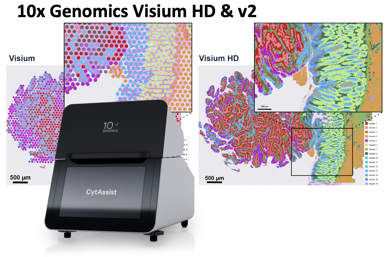 10x Genomics Visium (CytAssist) with Visium HD data