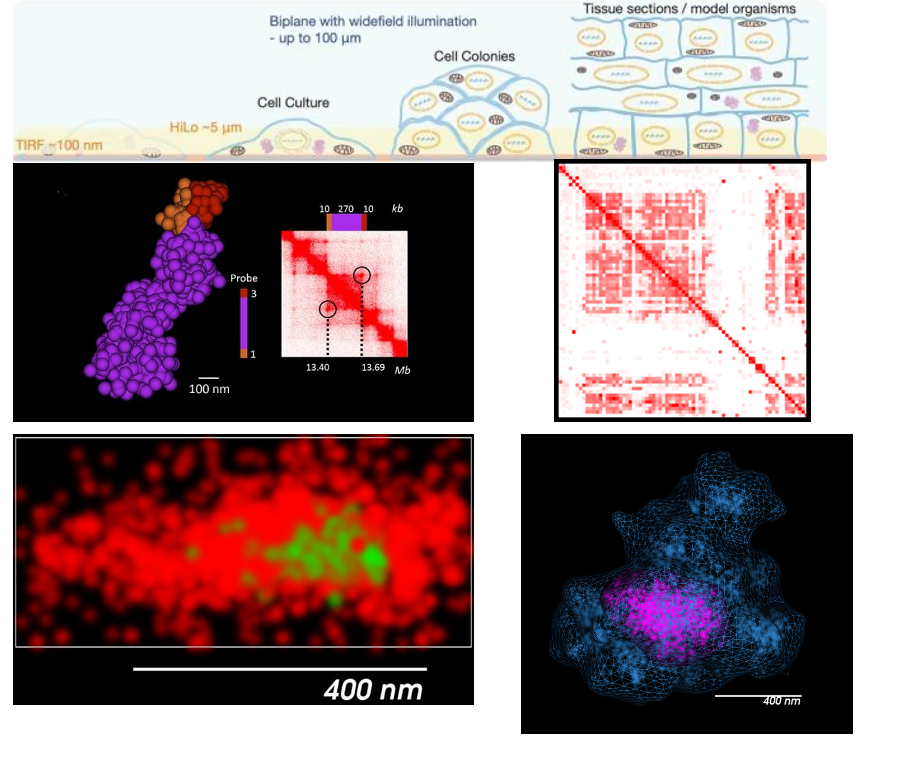 Vutara VXL super-resolution: DNA-PAINT, 3D genome contact mapping and single-molecule localization