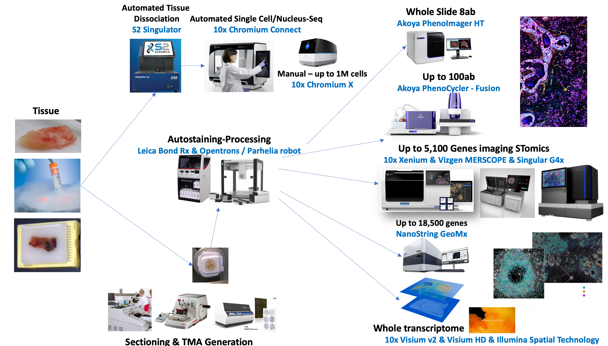 The Spatial Technologies Unit workflow, from tissue to spatial data